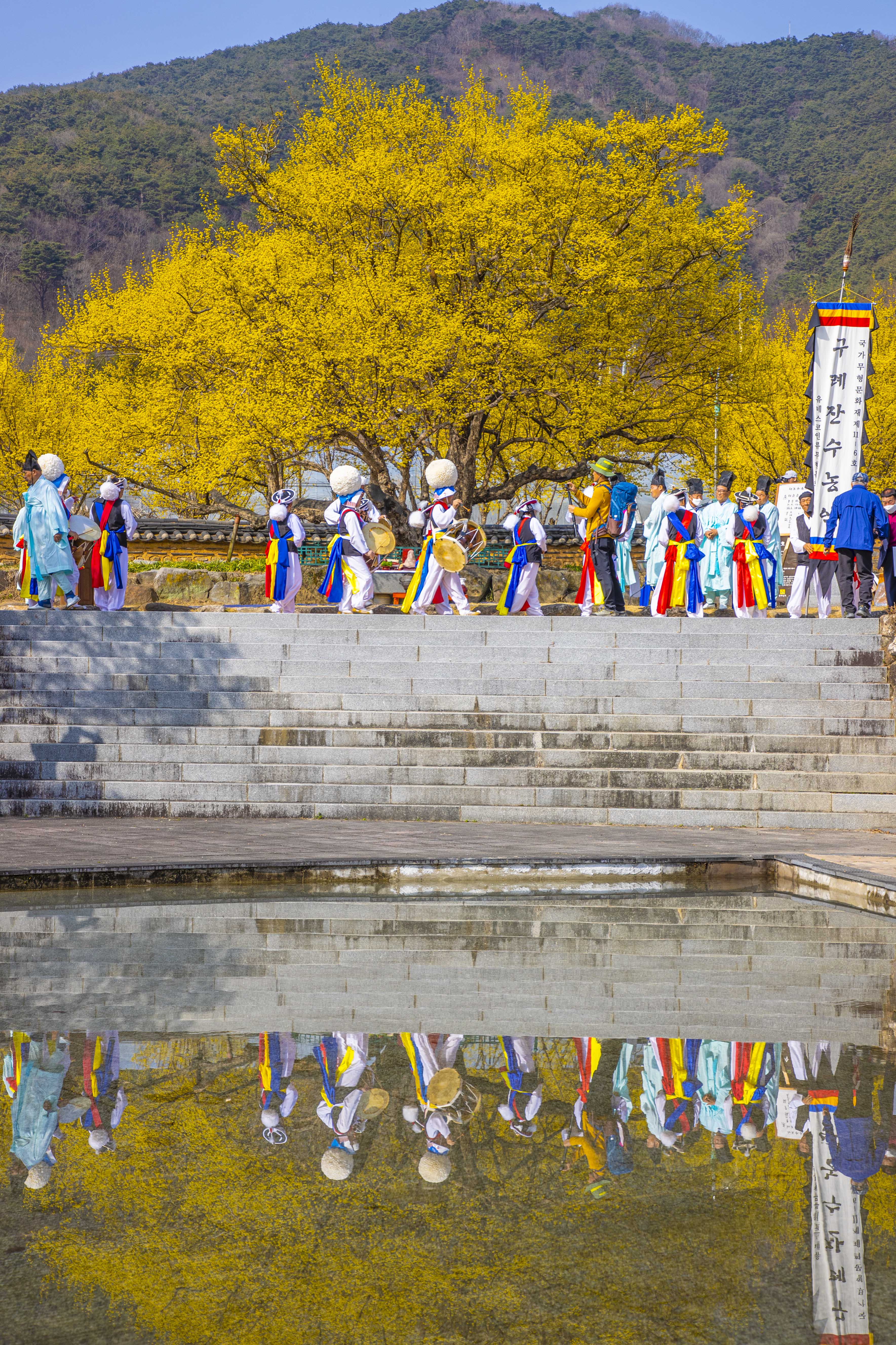 구례 산수유축제 주차장 및 교통편 총정리