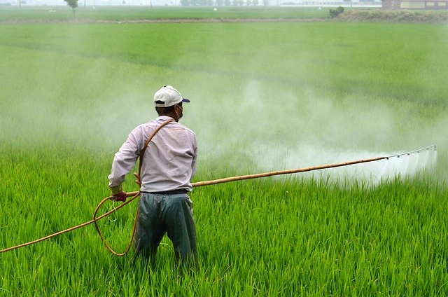 농부가 농약을 뿌리고 있다