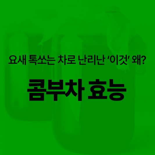 콤부차 효능 다이어트