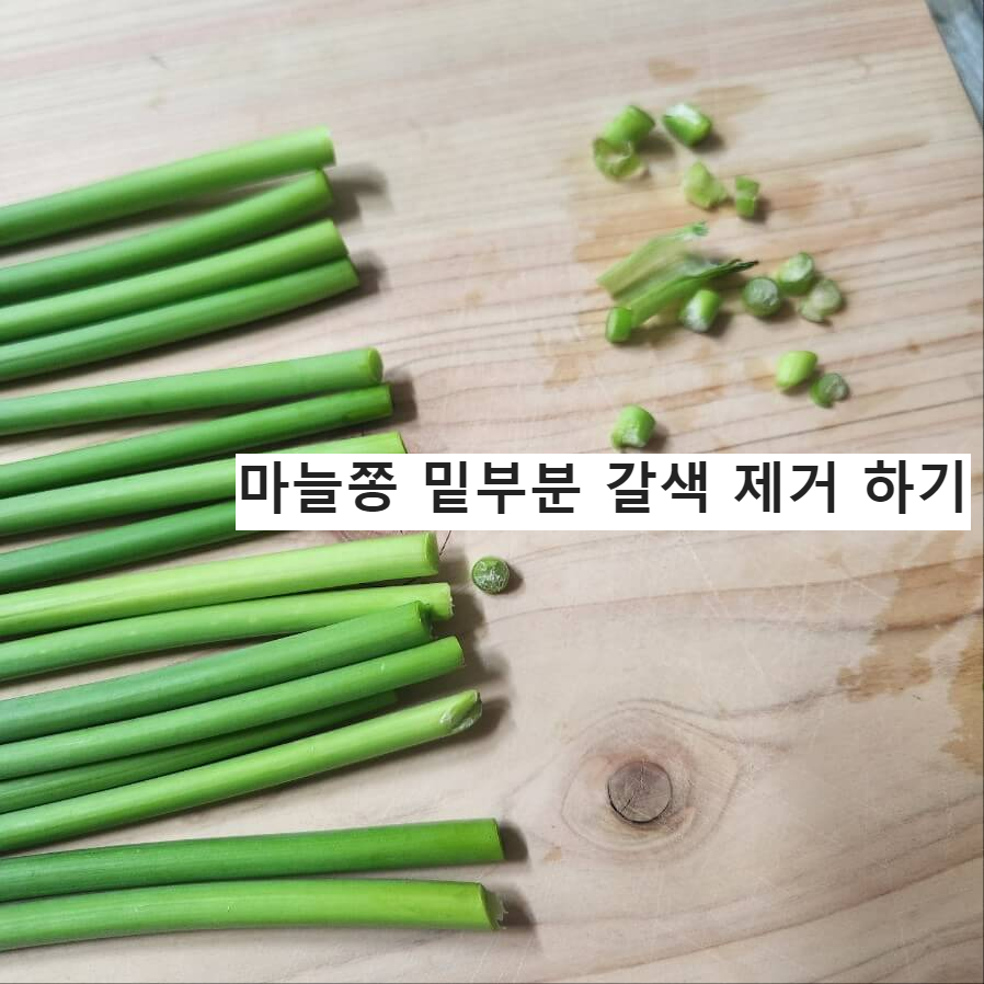 #마늘쫑,#마늘 효능,#마늘쫑 제철,#마늘쫑 효능,#마늘종 효능