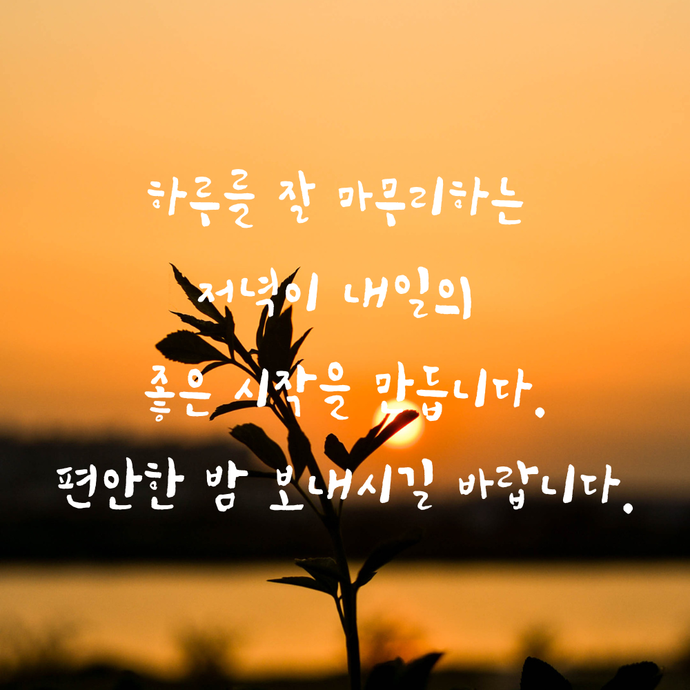 저녁 인사말 문구 이미지 글귀 모음집