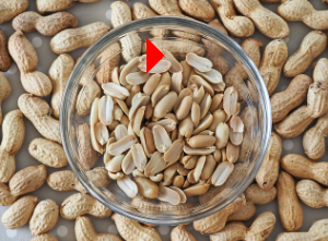 수능 도시락 메뉴