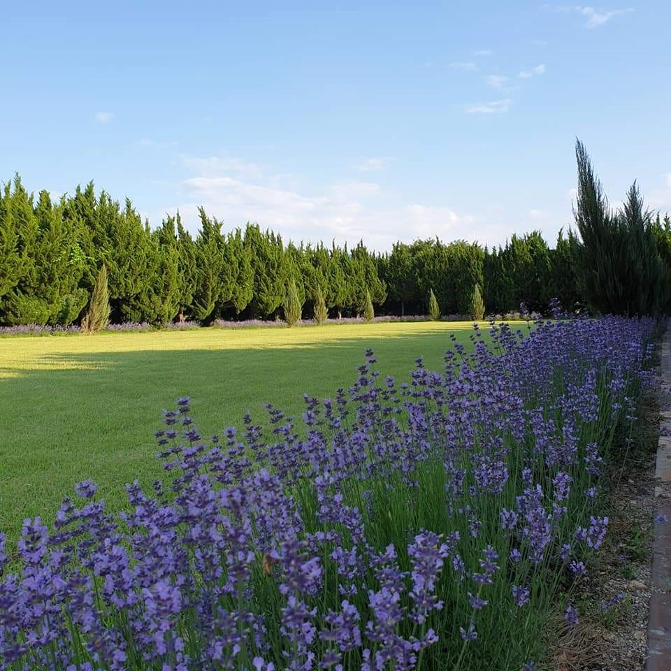 생방송투데이 스카이바이크&amp;#44; 쌍산재&amp;#44; 향나무숲