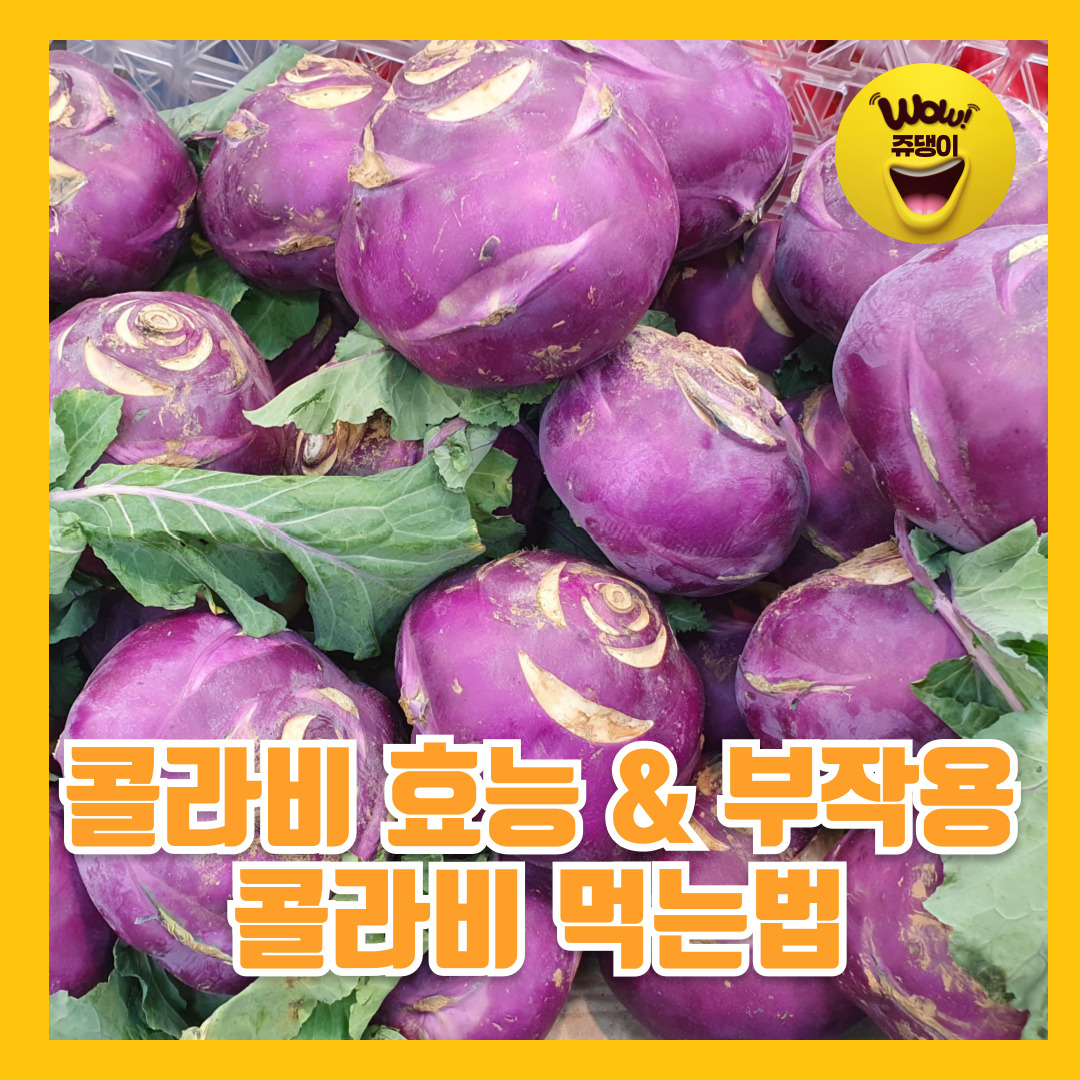 콜라비 효능 &amp; 부작용 콜라비 먹는법