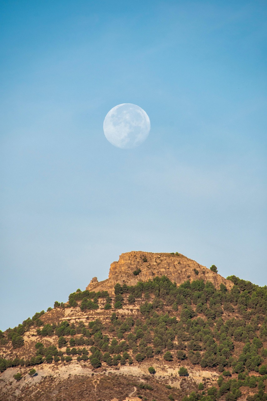 지역의료보험료