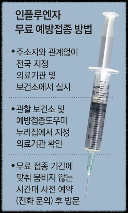 A독감 무료접종 신청 꿀팁: 놓치지 말아야 할 필수 정보