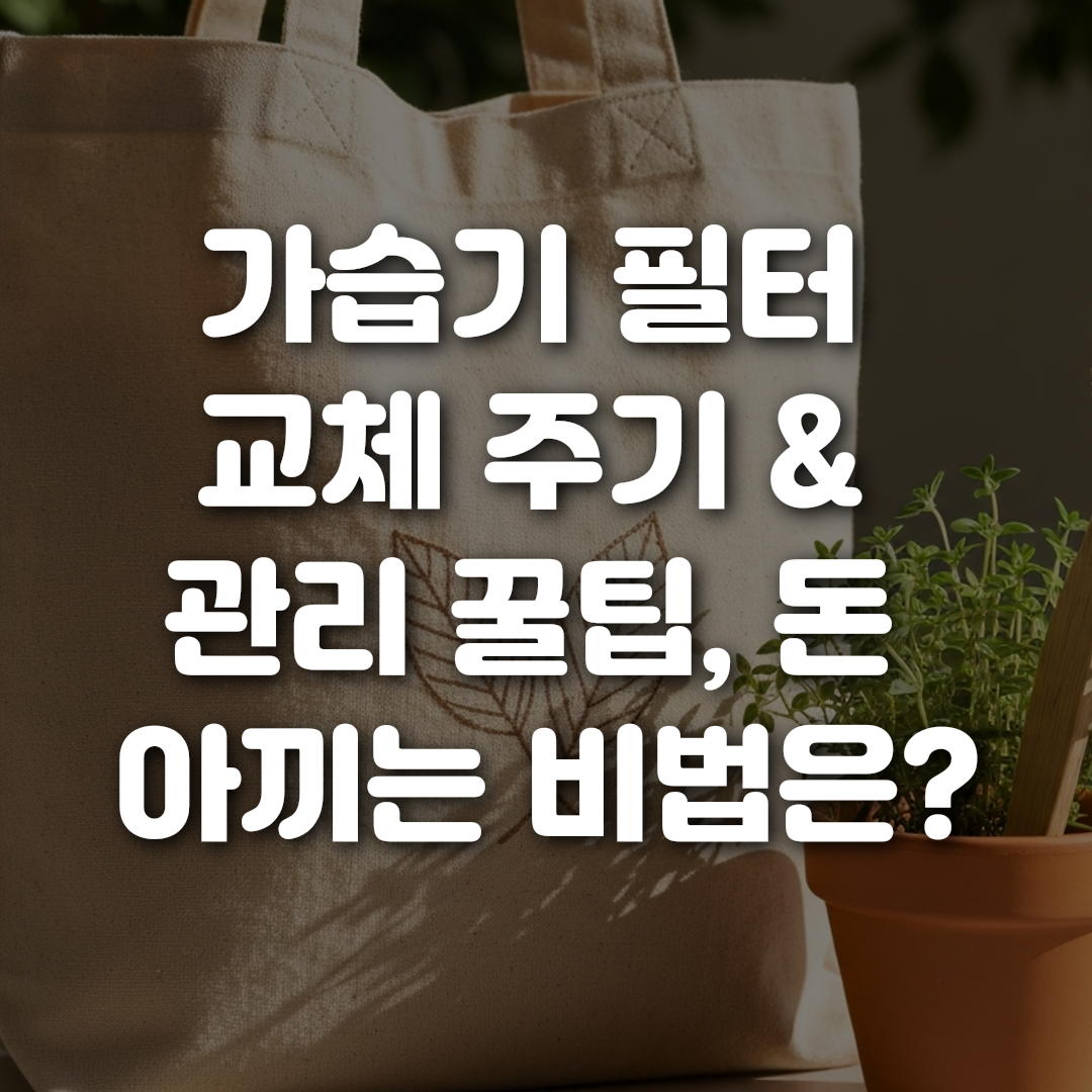 가습기 필터 교체 주기 관리 꿀팁 돈 아끼는 비법은