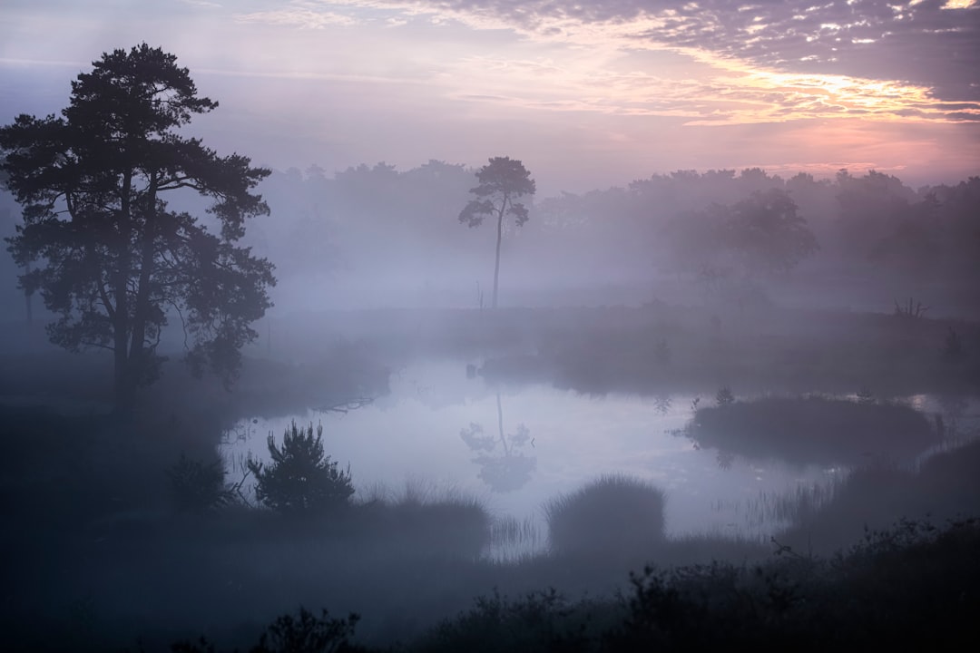 Mist