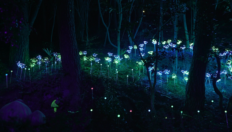 통영 디피랑 경관