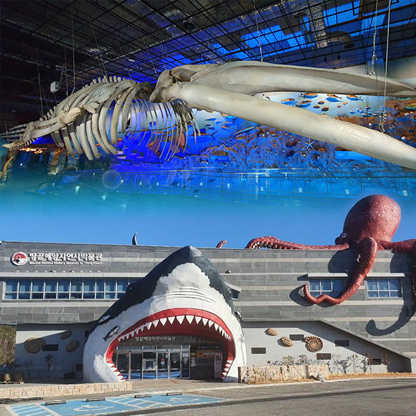 해남 가볼만한곳 - 땅끝해양자연사박물관
