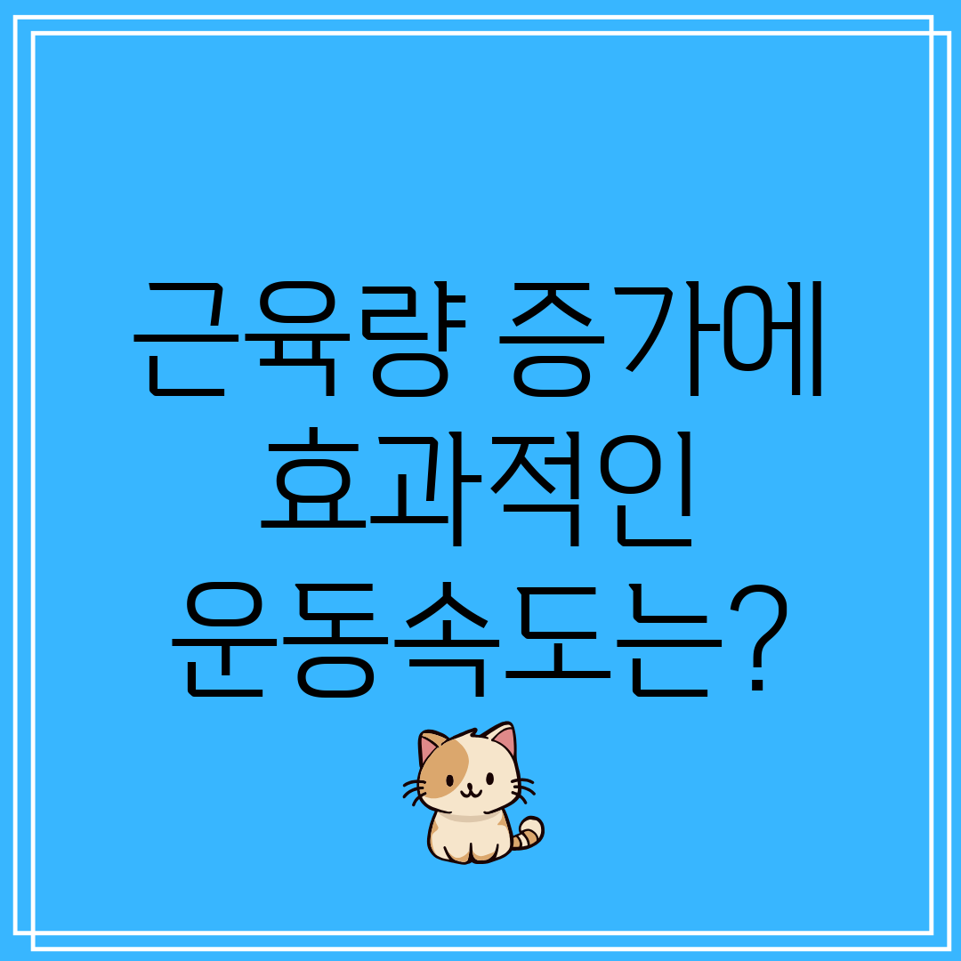 근육량 증가에 효과적인 운동속도는