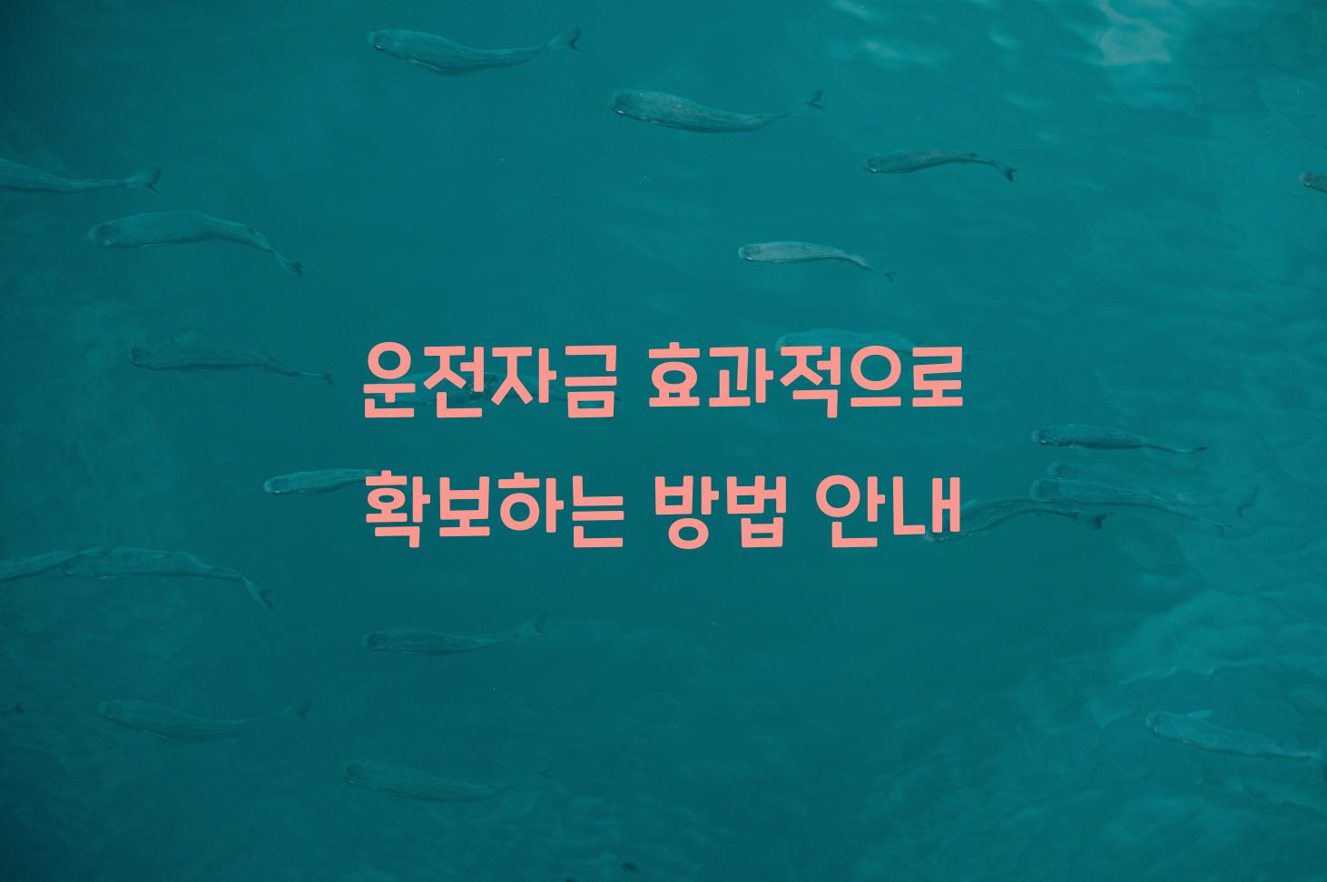 운전자금