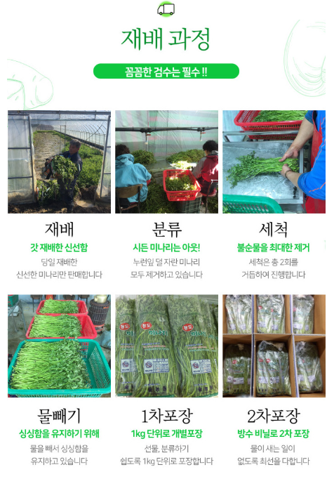 생방송투데이 청도미나리 미나리삼겹살 이주의장바구니 온라인구매 및 예약방법 경북 청도 솔농원 솔그린팜