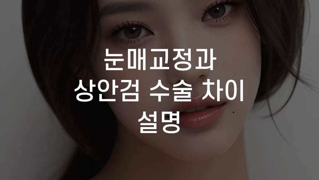 눈매교정과 상안검 수술 차이 설명