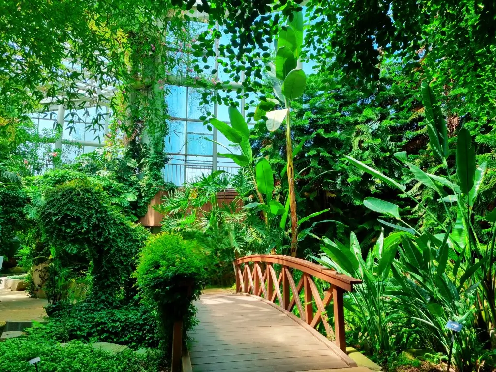 부천자연생태공원1. 부천식물원: 수다쟁이 카나리아가 노래하는 곳