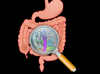 유산균 추천,프로바이오틱스