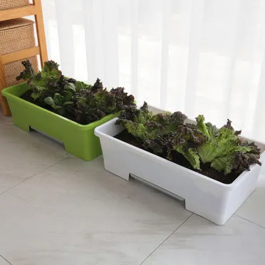 베란다 텃밭 흙 고르기 배수층 화분 선택 물주기 비료주기_4