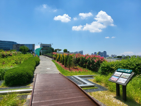 도시 정원