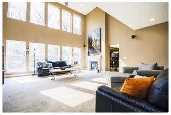 북서향 창문 식물 선택 저광량관리 물주기 식물등 세팅 가이드_4