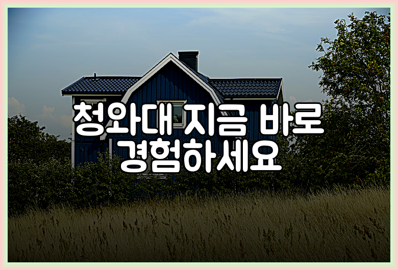 청와대 지금 바로 경험하세요