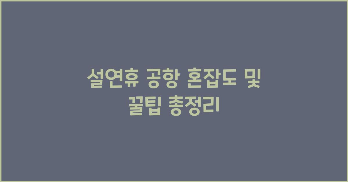 설연휴 공항