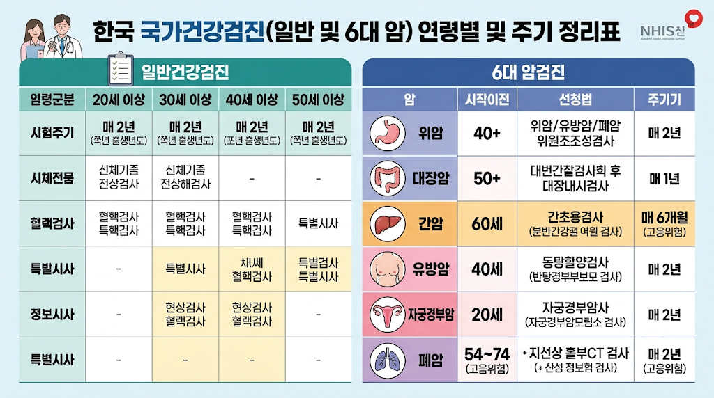 건강검진 일반검진 및 6대 암 연령별 및 주기 정리표