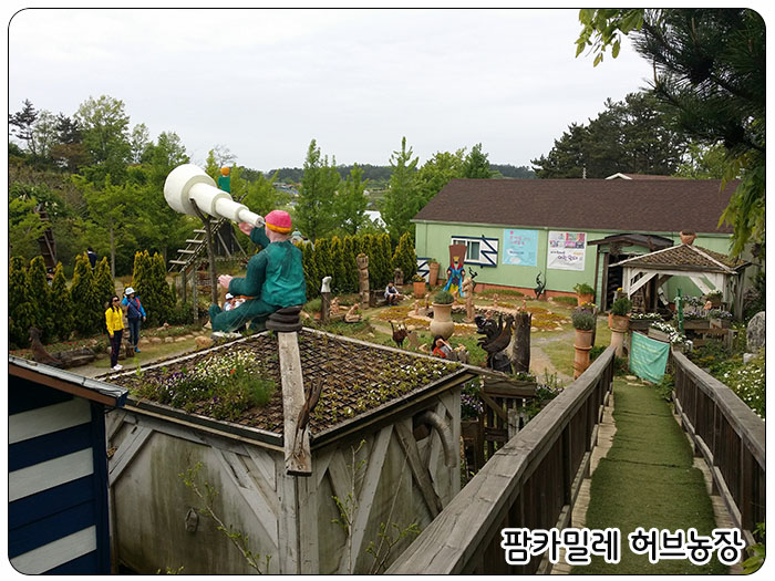 팜카밀레 허브농장