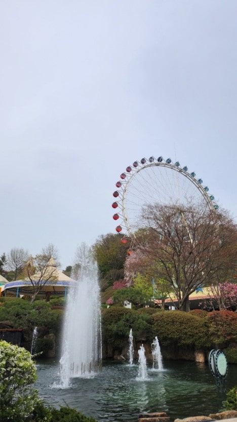 에버랜드 사진 (3)