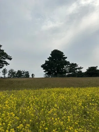 제주 항파두리 유적지 역사 공부 겸 산책코스 소개_19
