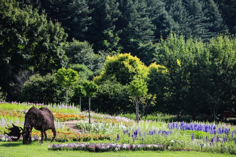 국립백두대간수목원 (경북 봉화)