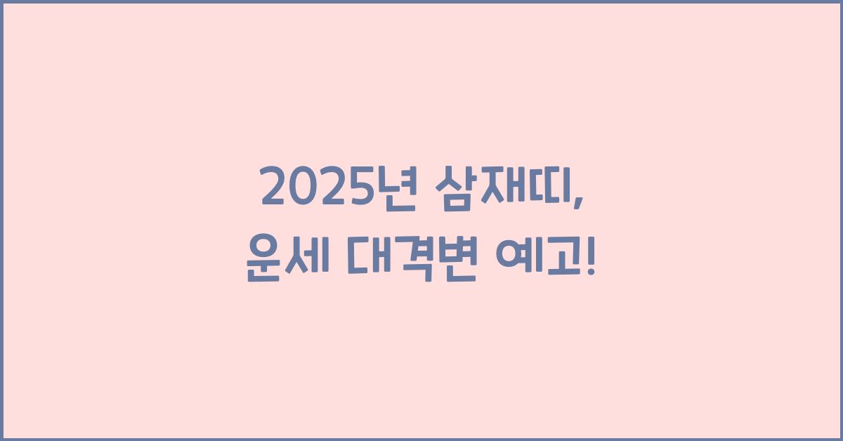 2025년 삼재띠