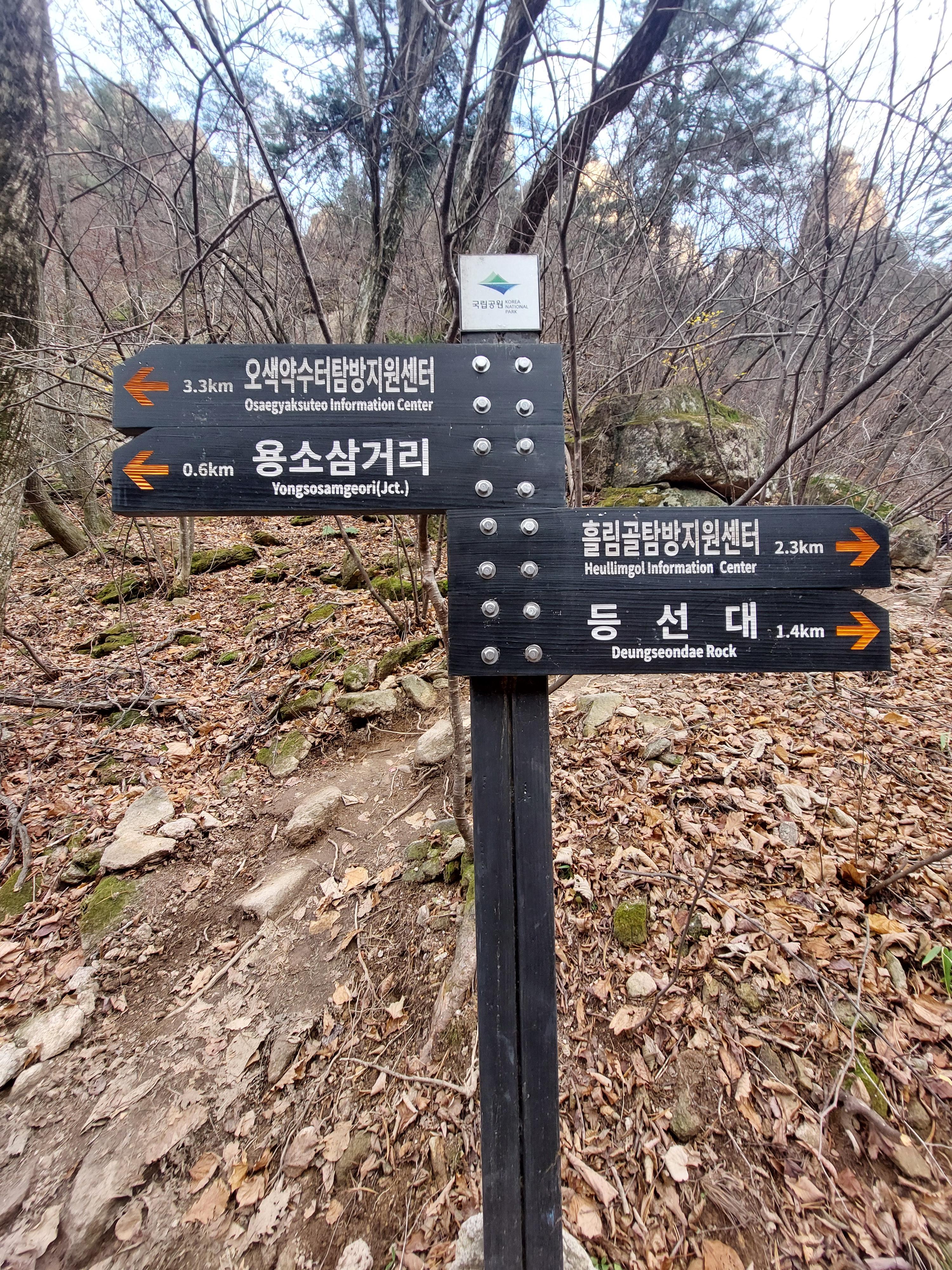 흘림골