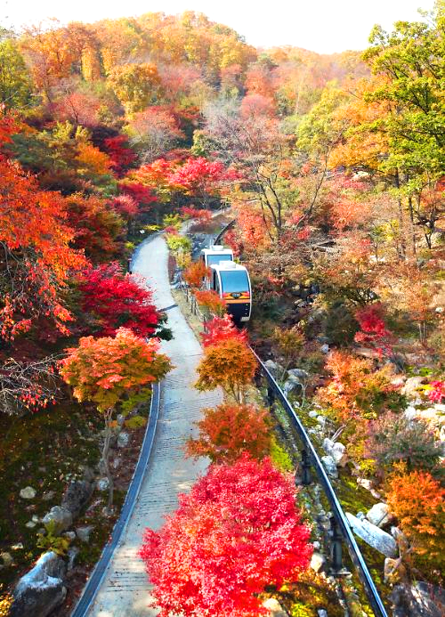 화담숲