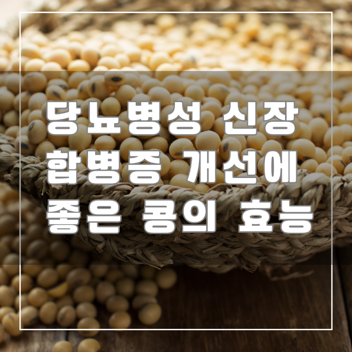 당뇨병성 신장 합병증 개선에 좋은 콩의 효능