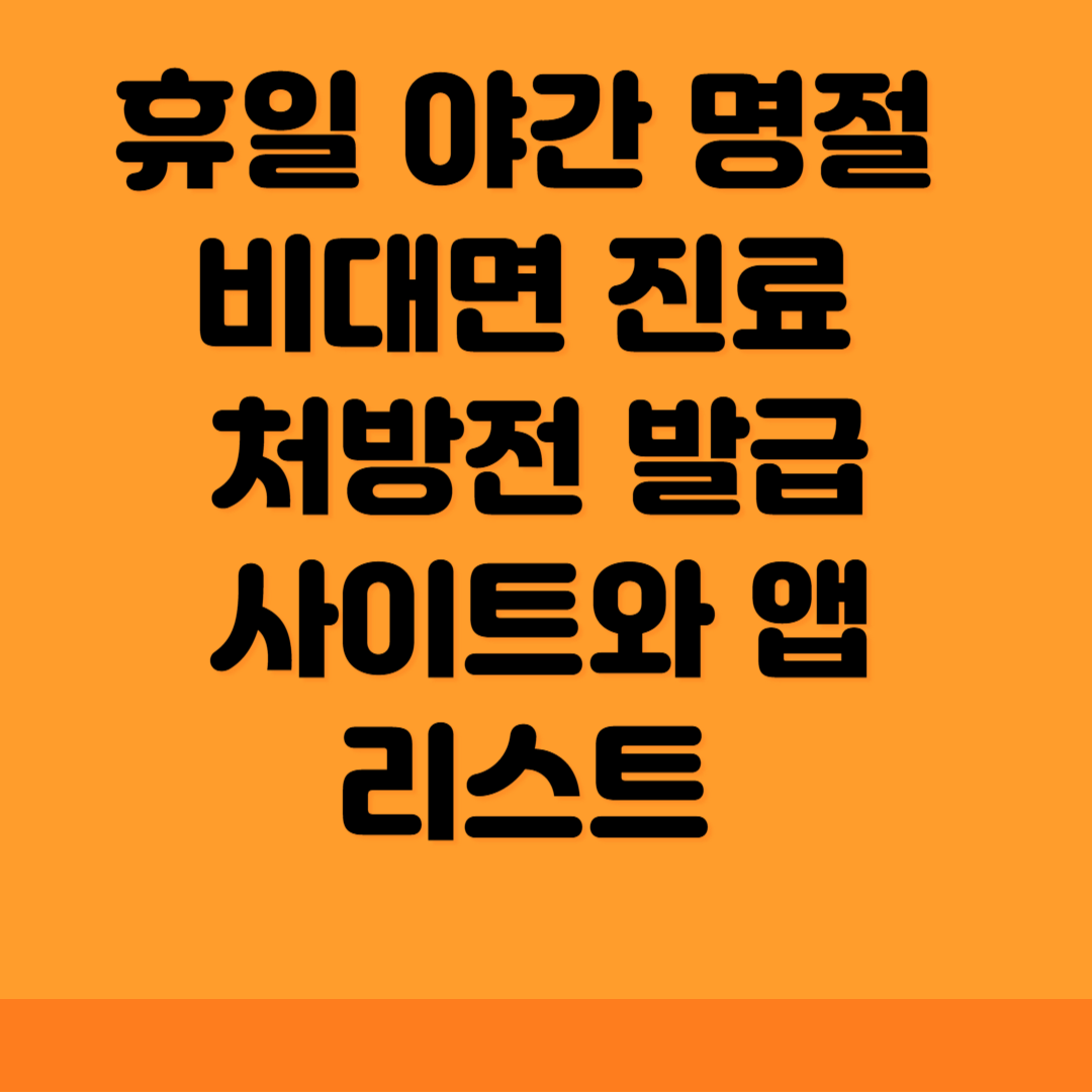 휴일 야간 명절 비대면 진료 처방전 발급 사이트와 앱 리스트