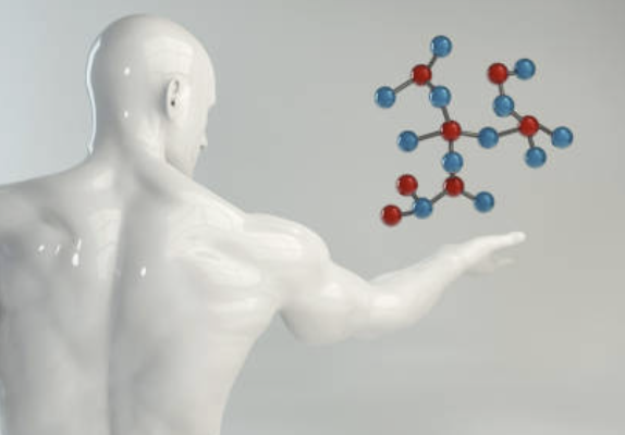 Spatial Metabolomics & LC-MS/MS Imaging을 활용한 종양 미세환경 분석