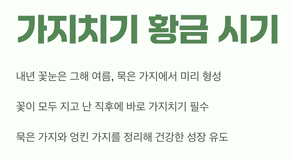 꽃이 진 직후, 단 한 번의 기회 (가지치기)
