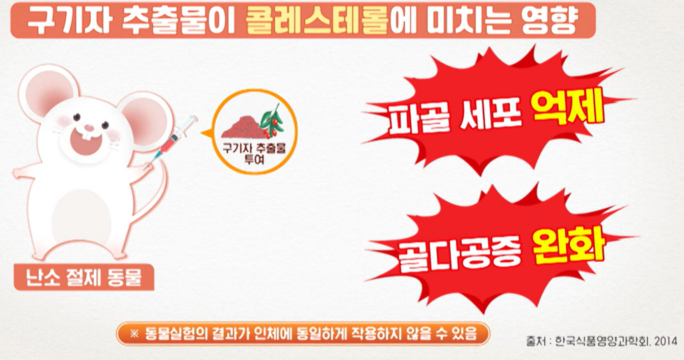 홍국 발효 구기자 효능