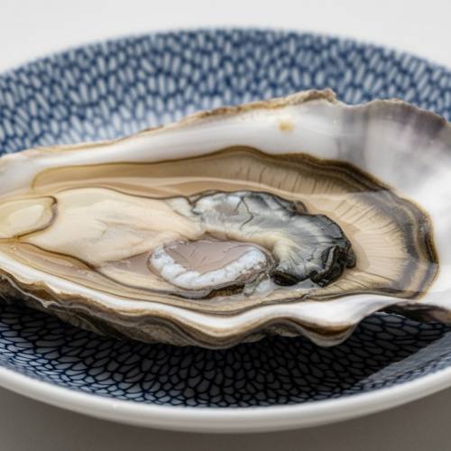 굴의 효능 굴 사진 