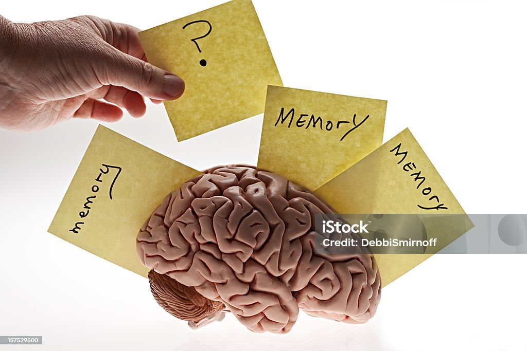 마인드 팰리스 기법의 과학적 원리와 실생활 활용법