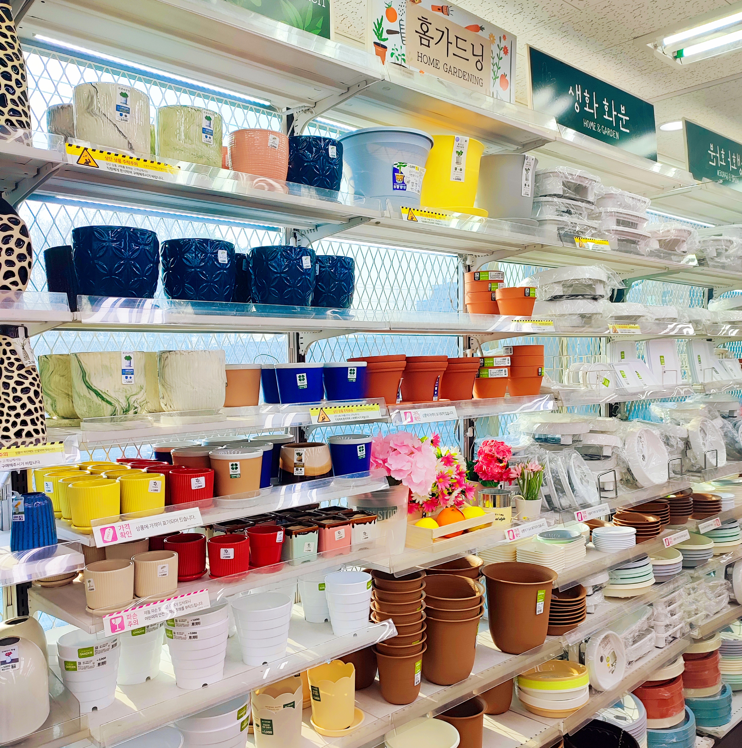 다이소 홈가드닝 코너의 다양한 종류의 화분들이 진열된 모습
