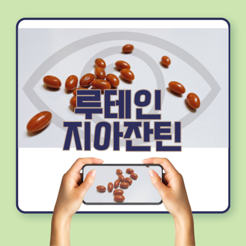 루테인3