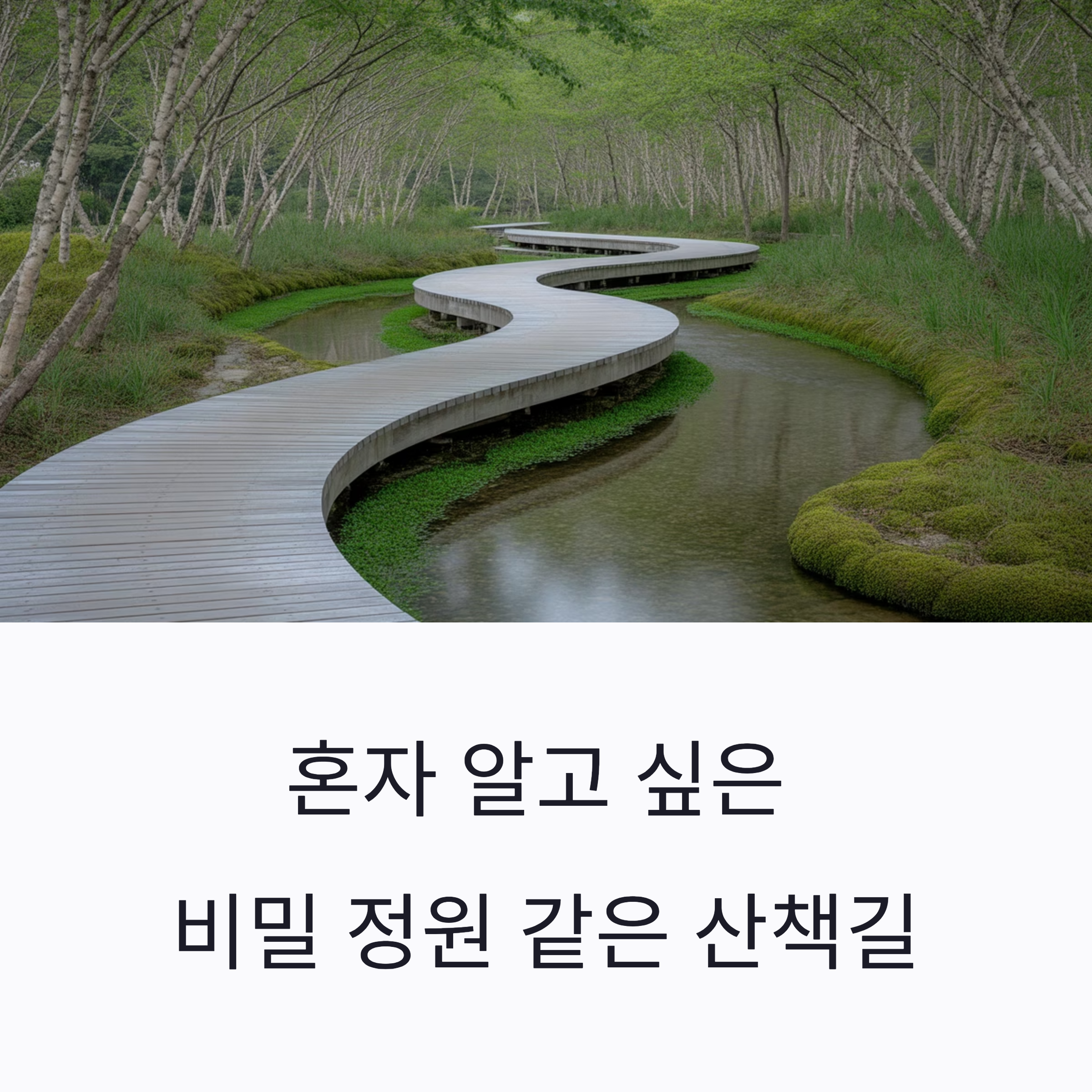 혼자 알고 싶은 비밀 정원 같은 산책길