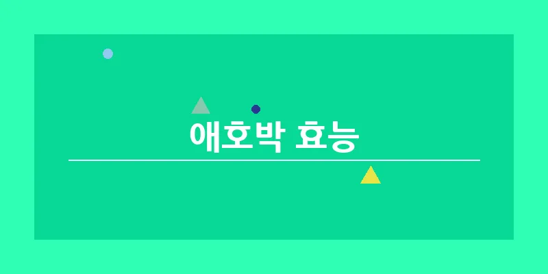 애호박 효능_8