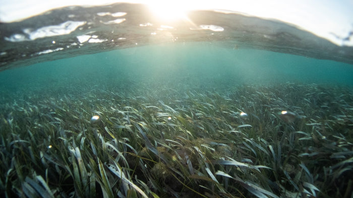 A Sustainable Travel Plan 3