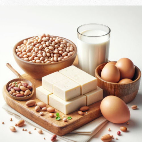 건강한 식단에 도움이 되는 단백질