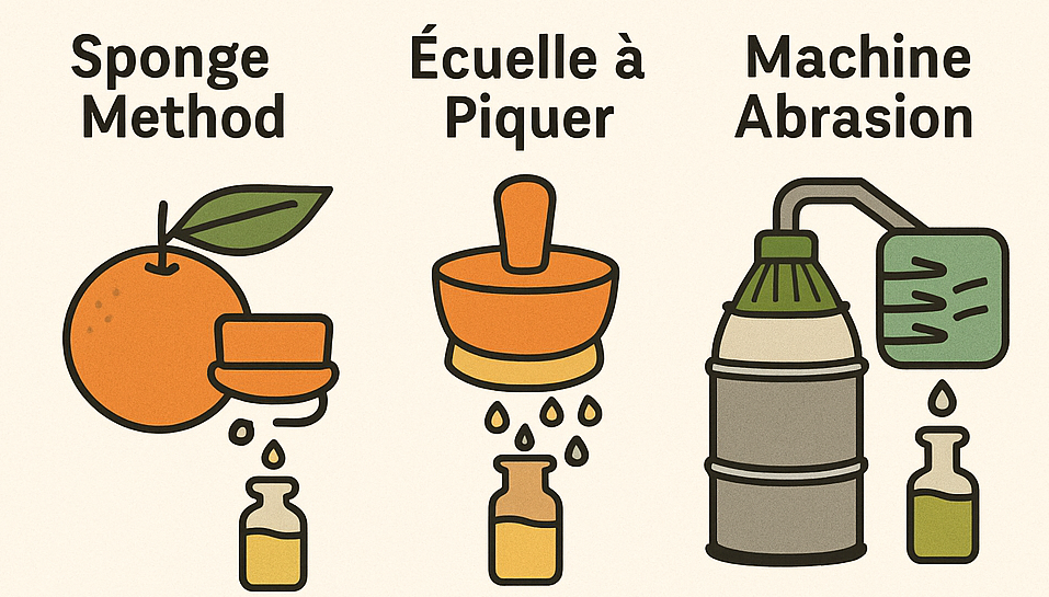 압착법 expression method의 종류에 따른 이미지를 나열함, sponge method(해면법), 에큐엘법, 기계식 압착법이 순서대로 나열되어 있는 썸네일 이미지