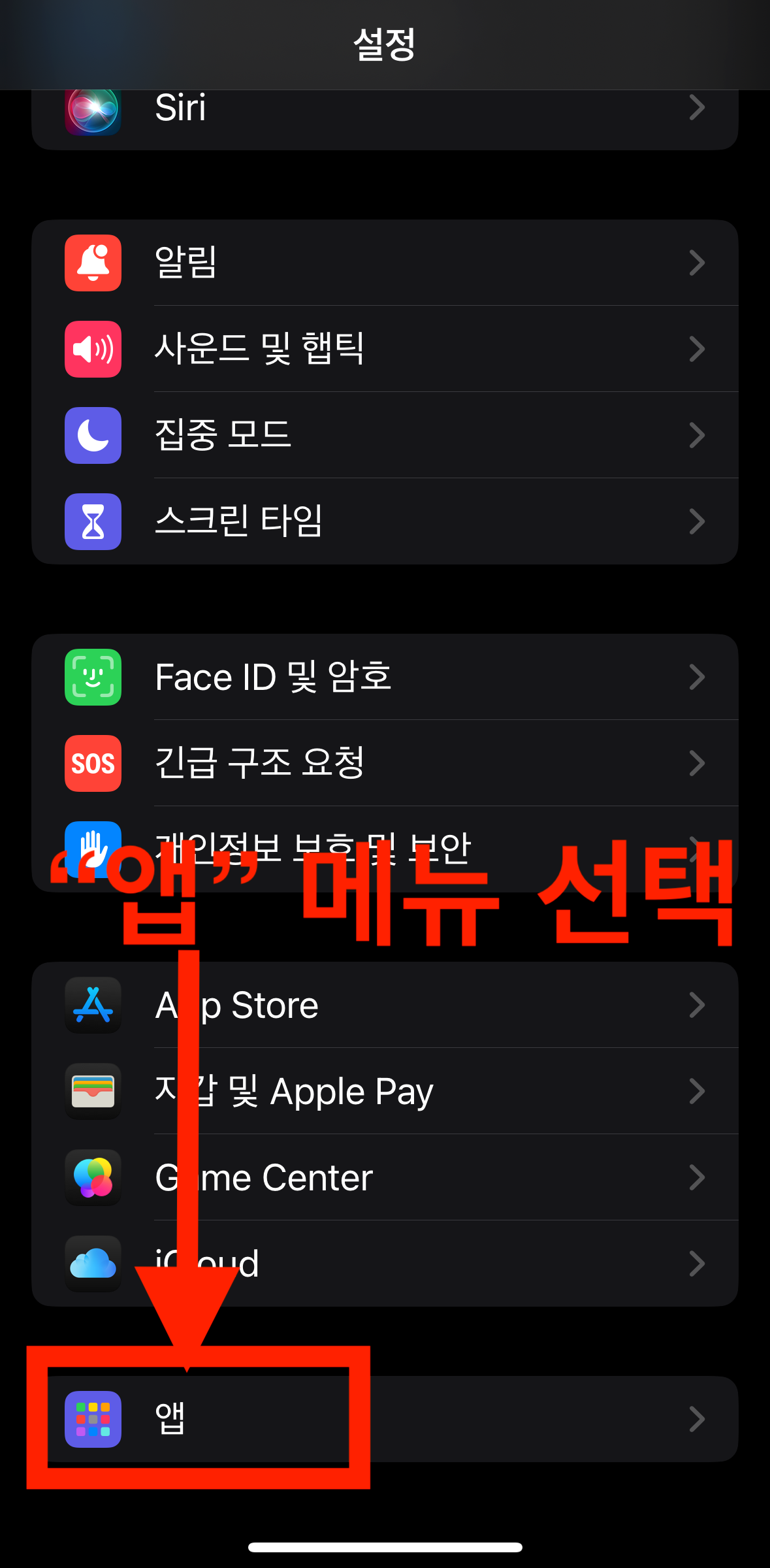 아이폰 설정 메뉴에서 앱 메뉴 선택한다