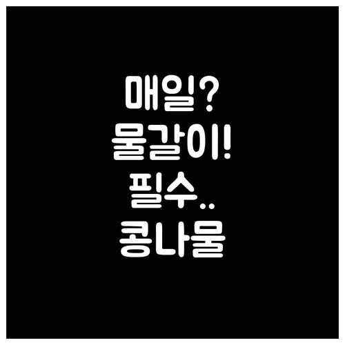 콩나물 물 보관법의 매일 물 갈아주기..