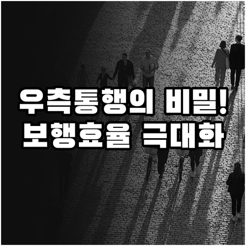 보행 효율 극대화와 심리적 안정감을 ..